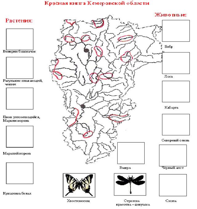 Контурная карта кузбасса